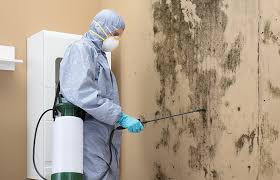 Best Residential Mold Inspection & Testing  in Kittredge, CO